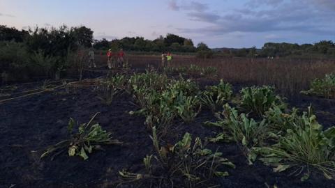 Several people in high-viz clothing can be seen in a field that has visibly been charred by flames 