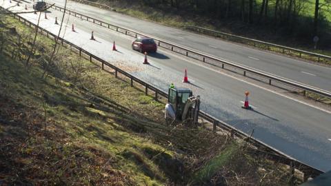 An excavator moving trees by the side of the road