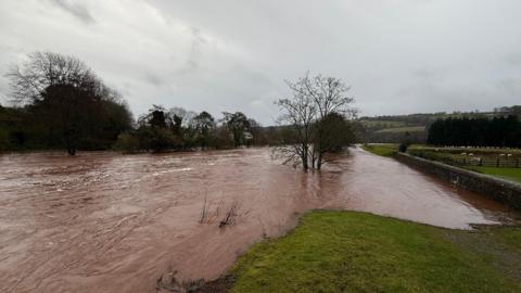 Flooded fields with grey sky above 