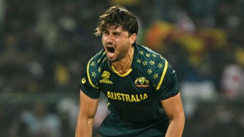 Stoinis