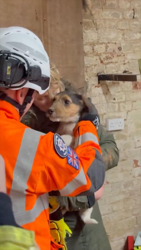 A woman holds a jack russell in her arms whilst a man in hi vis and wearing a helmet touches the dogs face.