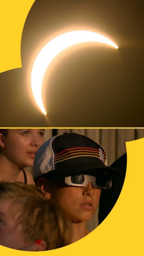 The solar eclipse and a cricket fan with eclipse glasses on