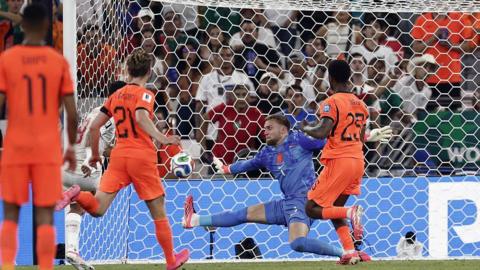 Bart Verbruggen makes save for Netherlands