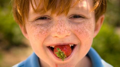 little boy grinning with a strawberry between his teeth