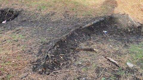 A ridge is seen in the ground which the curator believes was made to make the site more exciting for bikes. The ridge is made of compacted early and twigs.