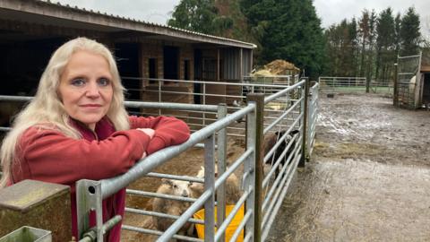 A woman with long, wavy white blonde hair in a red jumper, leaning on a metal fence in an outdoor animal sanctuary. Behind her are several curious sheep in an enclosure behind a metal fence and gate, they are gathered behind her. In the background, a yard stretches off and is covered in wet brown mud and water.
