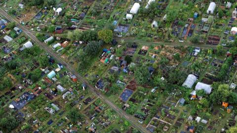 An aerial view of a row of allotments on a sunny day in Bristol. The image shows a number of plots from a birds-eye view including vegetables growing, trees and greenhouses. There are also a number of sheds visible.