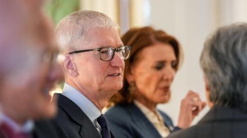 Apple CEO Tim Cook in a dark grey suit and necktie, with a light grey dress shirt, speaking in a room of people during a reception at the White House. 
