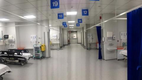 A white hospital ward with beds on either side with blue curtains hanging outside some and blue numbered signs on the ceiling
