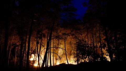 A wildfire burns in Noisy-sur-Ecole near Fontainebleau, southern Paris