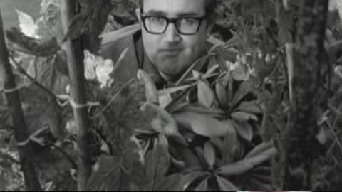 Image of James Burke, with some plants in the foreground