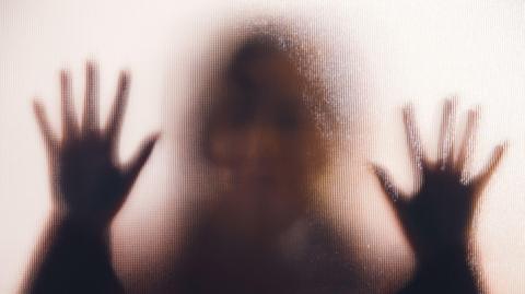 A woman is behind a window. She presses her hands to the glass, but her features cannot be made out. She seems trapped. 