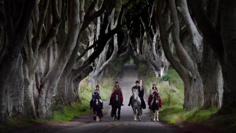 A tunnel of beech trees form a ceiling over a rural road surrounded by grass. The trees are bare and the road is narrow. There are four people on horses coming down the road. 