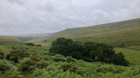 A view of the green rolling hills of Dartmoor. 