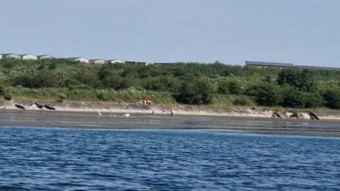A lake can be seen looking out at a grassy bank across the other side with rocks below where people are congregated.