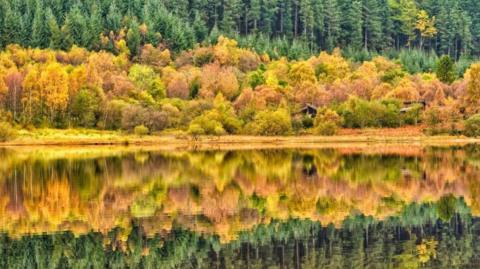Yellow, brown and green autumn tree leaves, also reflected in a loch.