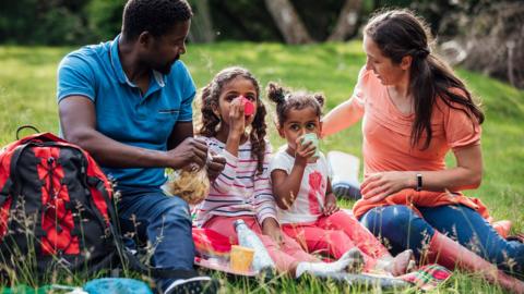 Two adults and children eating a packed lunch on an open expanse of grass