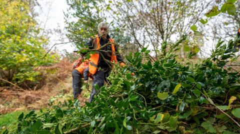 A man in an orange hi-vis jacket is piling up cuttings from a tree in the middle of a woodland. The pile of leaves is in focus in the foreground. 