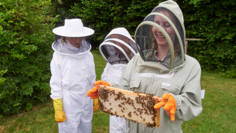 Three women are in beekeeping suits as one holds an artificial hive of bees.