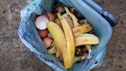 Stock image of a food waste bin, filled with items including banana peels, egg shells and other food items underneath. 