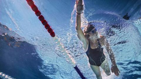A woman swimming next to a lane marker in a swimming pool is photographed from underwater. She is wearing goggles and a black swimsuit and doing front crawl.