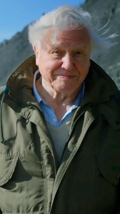 David Attenborough looks at the camera. He has white windswept hair as he stands outside and wears a dark green raincoat with a blue shirt and cream knit jumper.