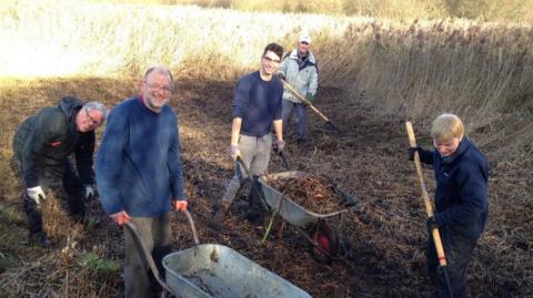 Five volunteers are clearing a reed bed with wheelbarrows and pitchforks. Two men, one in a fleece and the other in a jumper, are pushing wheelbarrows through the reedbed. The reeds surrounding the flattened area they are working in are slightly taller than the people.