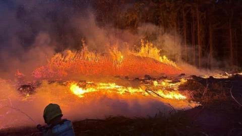 A wooded area seen burning at night, a firefighter's back in shadow at the forefront.