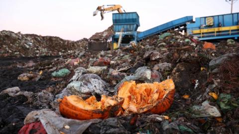 A dumpit site filled with food waste. A broken pumpkin is in the foreground. In the background, there is a yellow excavator with a grapple attachment above a blue skip leading to a conveyor belt.
