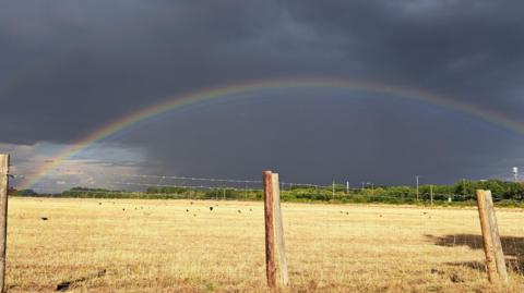 A field of brown grass sits below a dark foreboding sky with a full rainbow spanning through the sky. A wire fence and wooden posts passes through the foreground. A horizon of green trees can be seen in the background.
