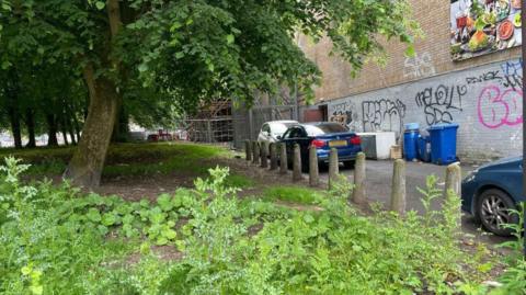 An alleyway lined with cars next to a patch of land with weeds growing