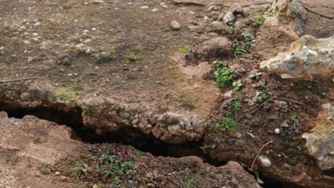 A general view of a large crack in a wall structure. Weeds are growing across the structure. 