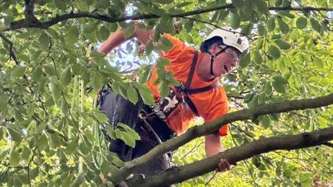 A competitor wearing an orange top and white helmet can be seen clinging to the branches of a tree