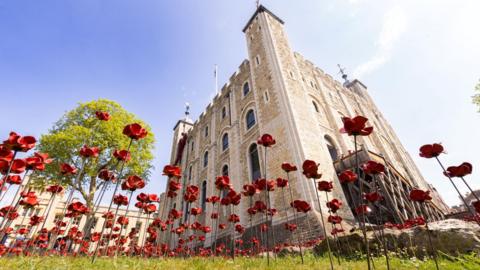 A field of ceramic red poppies laid out in the grass in front of the Tower of London, with the camera on the ground looking up at the Tower.
