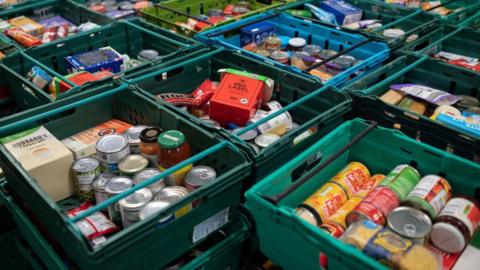 A variety of different food cans in lots of green crates stacked on each other at a food distribution centre.