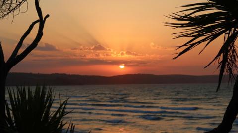 An orange sun is setting over the sea which laps gently at the shore the water breaking in small waves. Trees are silhouetted on either side of the frame.