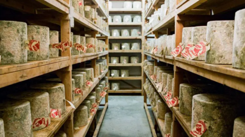 Shelves stocked with truckles of cheese at Neal's Yard