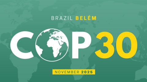 Cop 30 is written in white and yellow text onto a green background which shows a map of the world.