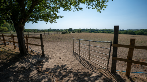 A brown drought-stricken field in Surrey during the fourth summer heatwave