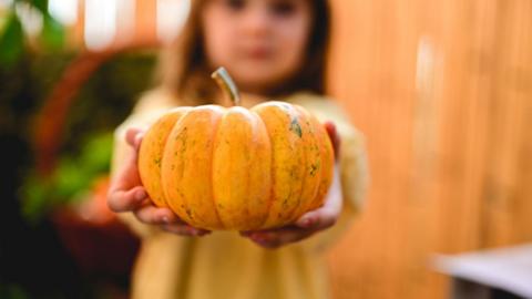 Girl holding pumpkin. 