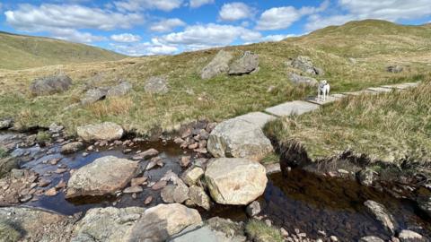 A picture of grassy hills with a stream in the foreground, with big stepping stones in the middle