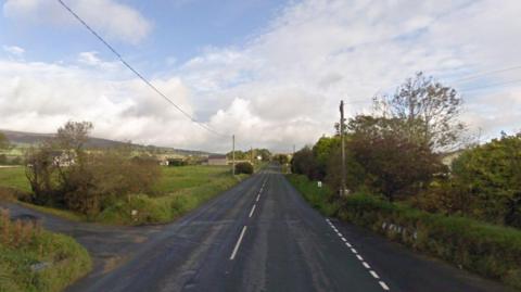 A long straight conountry road, with fields and trees on either side, and a telephone wire running parallel along posts on the left side of it. 