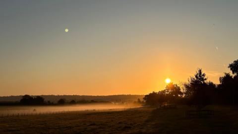 A low sun peeps out behind some trees early in the day with mist hanging low over a grassy field with a fence running across the middle.