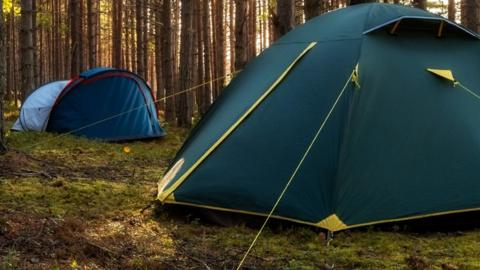 Two tents in woodland. One is green and yellow, and the other one is red and blue. There are tall trees in the background.
