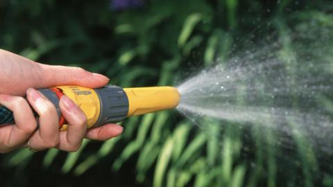 A close up of a person's hand watering a garden with water from a hosepipe.