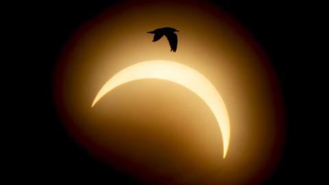 Eclipse