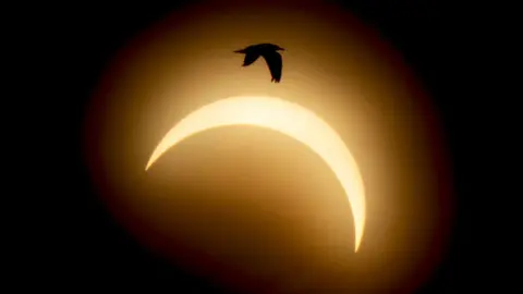 Eclipse