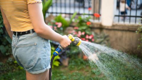 A stock photo shows a person holding a yellow hosepipe with water spraying out of it in a garden with a lawn and rosebush in view.