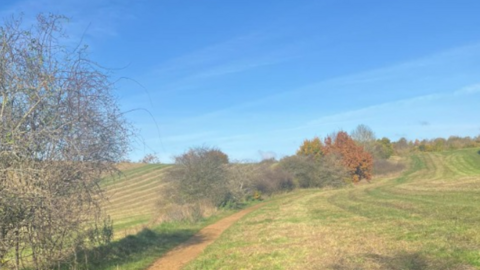 A view of Bugs Bottom in Caversham.