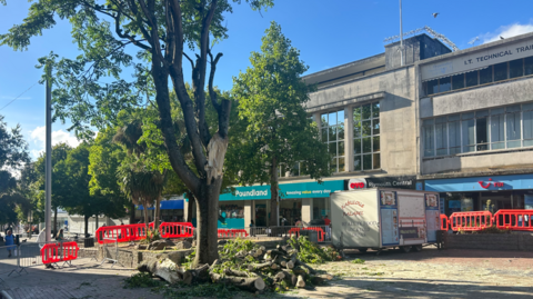A green leafy tree has a huge gash where a branch ripped off. It is cut into logs on the ground below and there is a red cordon nearby. The fast food trailer is nearby with shops behind on the bottom floor of grey stone buildings.